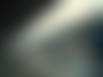 Affordable Transport Services with Transparent Pricing