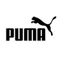 Puma_edited.jpg
