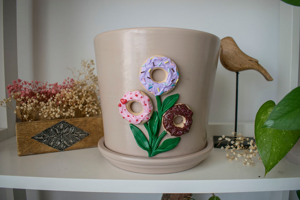 Ghiveci Buchet de Gogoși