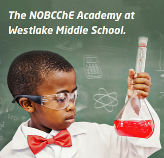 NOBCChE Science Academy Info Night Success