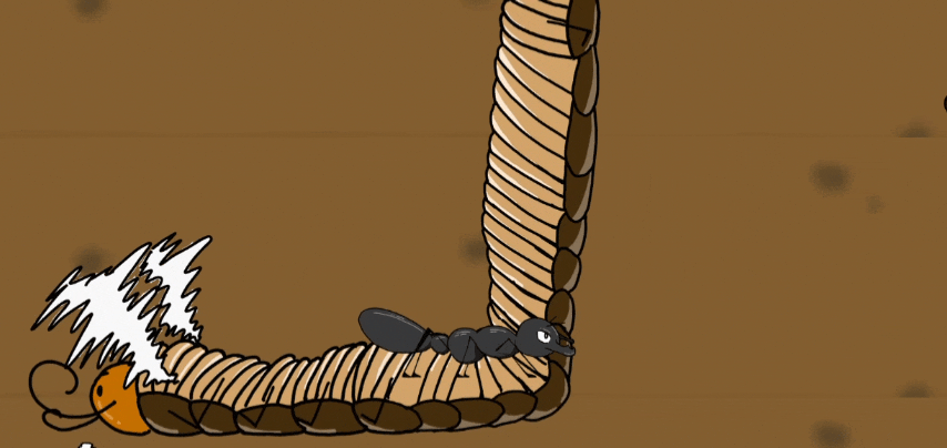 InShot_20231004_041508174.gif