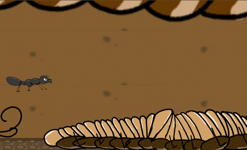 InShot_20231004_042041070.gif