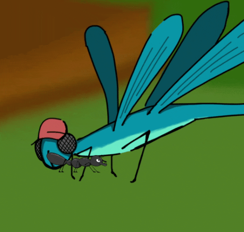 InShot_20231004_035241832.gif