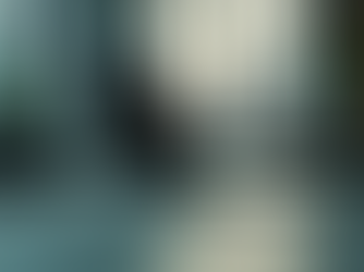 Developing Adaptive Leadership Skills for Success