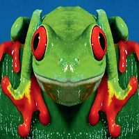 dumdum boys totem.png