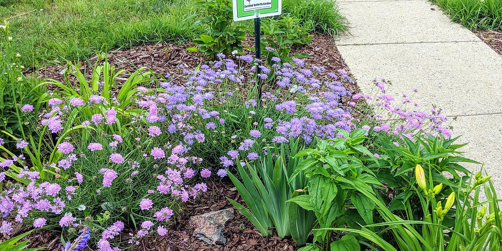 Dig and Dream Garden Club Meeting (April)
