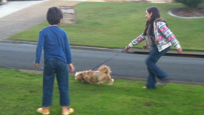 Who takes who for a walk?!