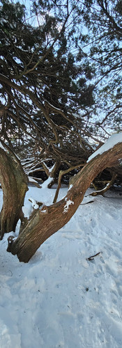 Litchfield County, Connecticut Hike