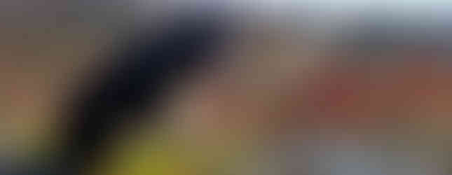 hiking dennis hill state park connecticut