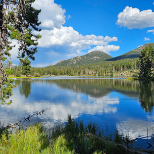 The 3 Best Easy Hikes in Rocky Mountain National Park (Bear Lake Corridor Guide)