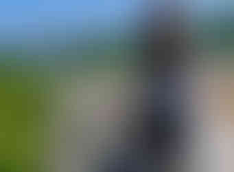 view from the top of the monument mountain hike in great barrington, massachusetts. located in new england.