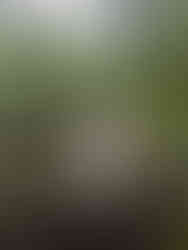 Kent Falls stairs in Kent, CT