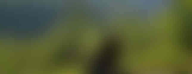 hiking housatonic meadows state park connecticut