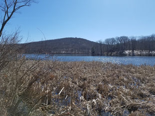 View of Pond Mountain from the pond on a hike in Kent, CT