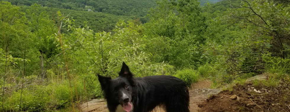 hiking macedonia brook state park connecticut