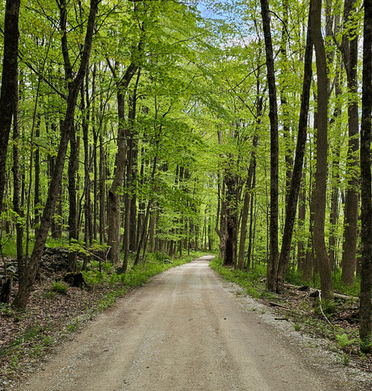 view of a backroad in cornwall, connecticut