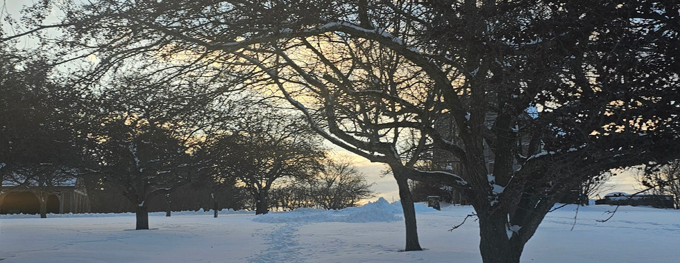 hiking topsmead state forest connecticut