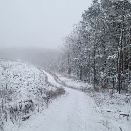 Bundle up & Hit the Trail: 5 Essential Winter Hiking Tips for New England