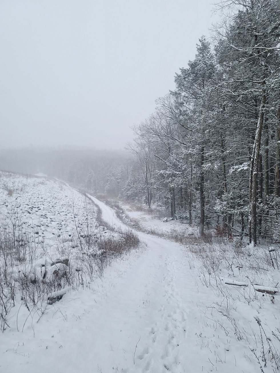 Bundle up & Hit the Trail: 5 Essential Winter Hiking Tips for New England