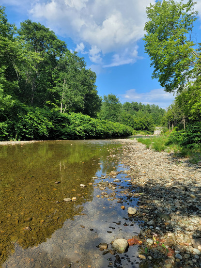 river in the green mountains of vermont in the summer