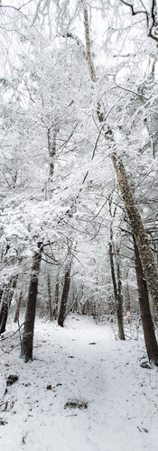 Litchfield County, Connecticut Hike