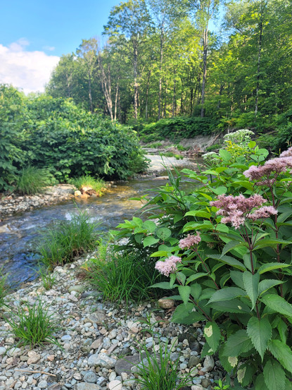 river in the green mountains of vermont in the summer