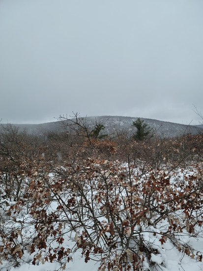 snowy view of Bear Mountain in Salisbury, Connecticut