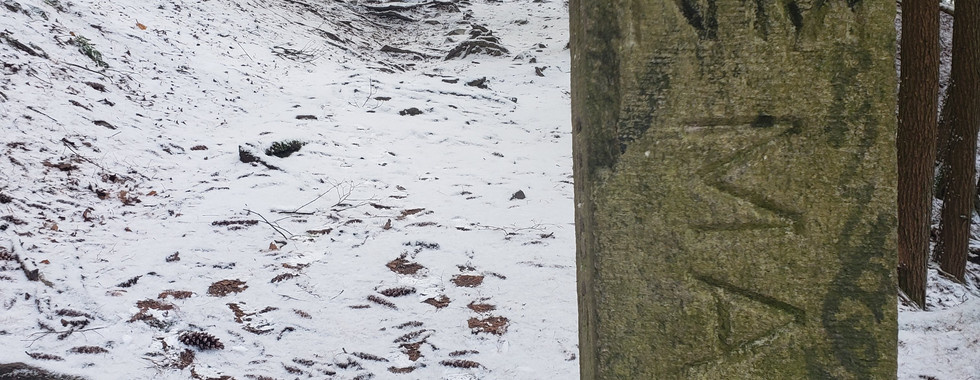 hiking campbell falls state park connecticut