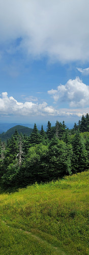 top of killington mountain in vermont in the summer