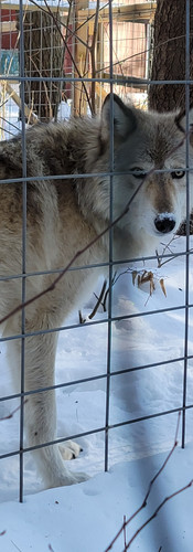 animal rehab center while on weekend vacation in new york
