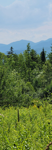 top of killington mountain in vermont in the summer