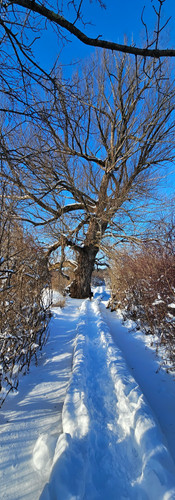 Litchfield County, Connecticut Hike