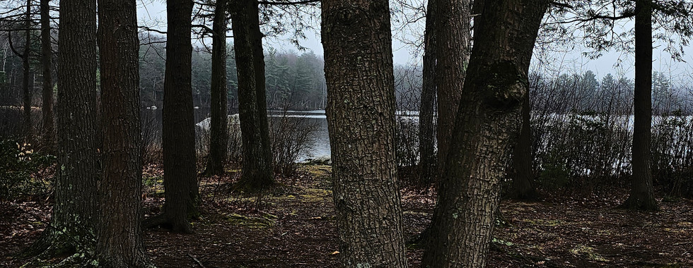 hiking burr pond state park connecticut