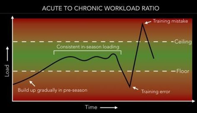 Fit Injury Risk Function Physiofit injury prevention recipe for cricketers