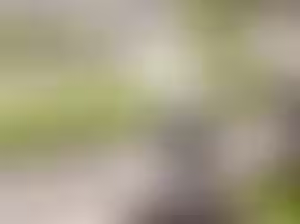 Tudo que a conectividade rural pode fazer pelo AGRO