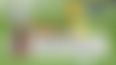 O FUTEBOL E AS FAMÍLIAS EMPRESÁRIAS