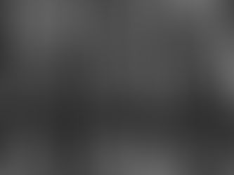 metáfora do bambu: inspiração para as famílias empresárias