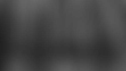 metáfora do bambu: inspiração para as famílias empresárias