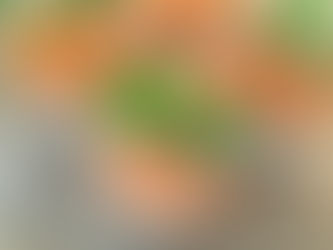 Kokosowy deser z nasionami chia - profilaktyka onkologiczna / odżywianie w diecie nowotworowej