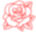 rosa.png