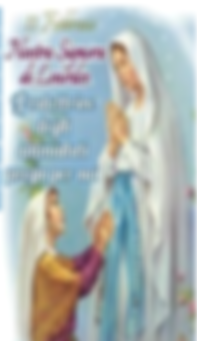 Immagine 2026-02-09 094402.png