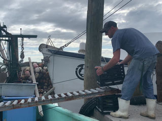 Stone Crab Season 2021