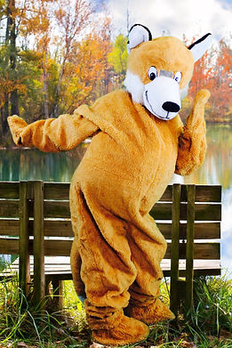 renard.jpeg