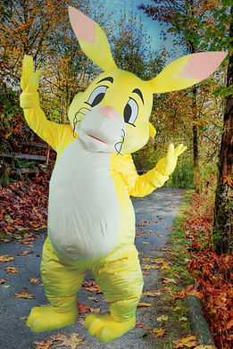 coco lapin.jpeg
