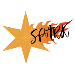 星火康樂體育會Spark Sports Association