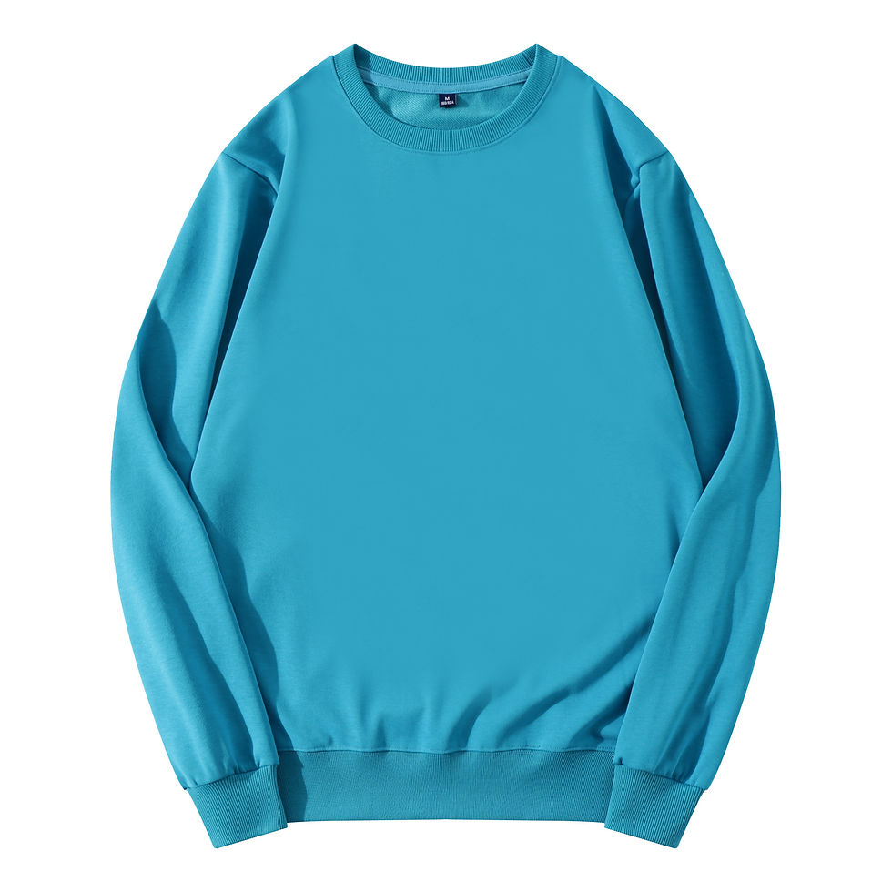圓領衛衣 Sweatshirt | 300g (TCWY0HB01)