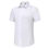 縮圖：男裝短袖裇衫 Men Short Sleeve Shirt (TCAIK-HBZD)