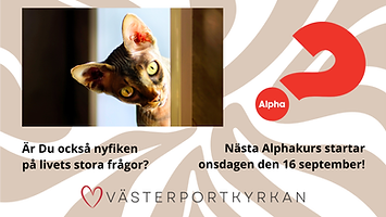 Alpha ht 26 pp.png