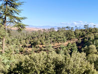 IMG_0935.jpeg