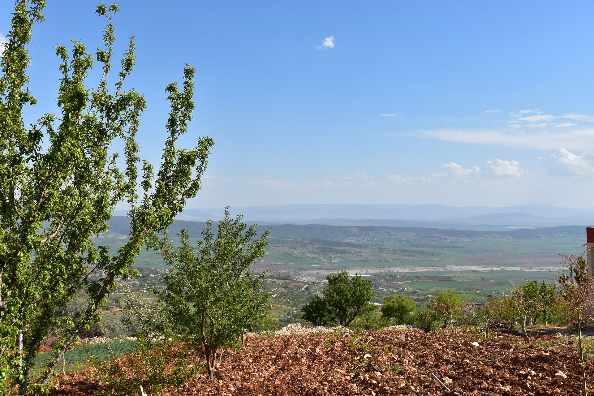 Bağdan Manzaralar
